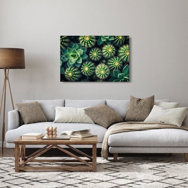 Kép - Kaktuszok (90x60 cm)