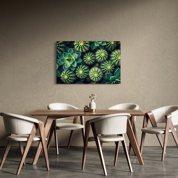 Kép - Kaktuszok (90x60 cm)