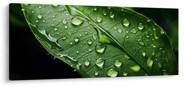 Kép - Levél eső után (120x50 cm)