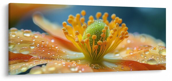 Kép - Részlet a virágból (120x50 cm)