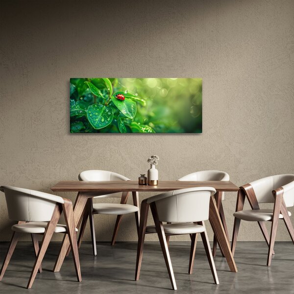 Kép - Katicabogár (120x50 cm)