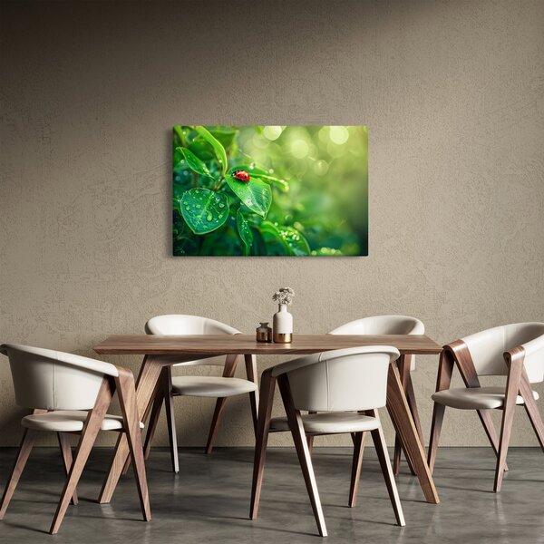 Kép - Katicabogár (90x60 cm)