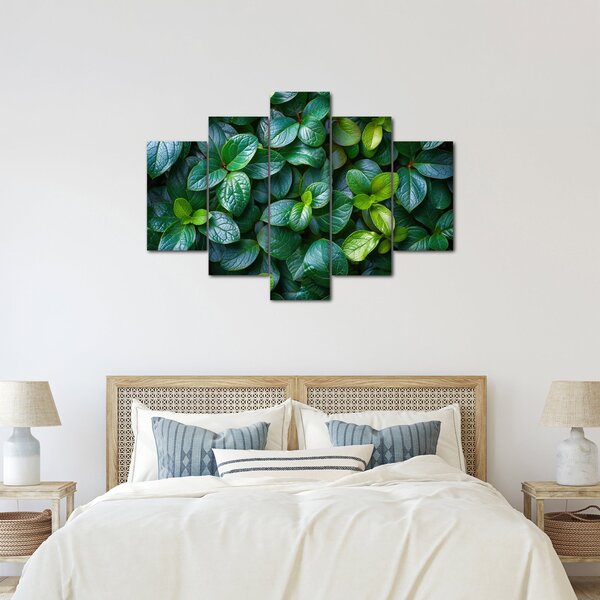 Kép - Zöld növények (150x105 cm)