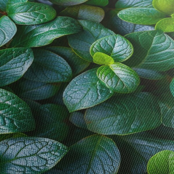 Kép - Zöld növények (70x50 cm)