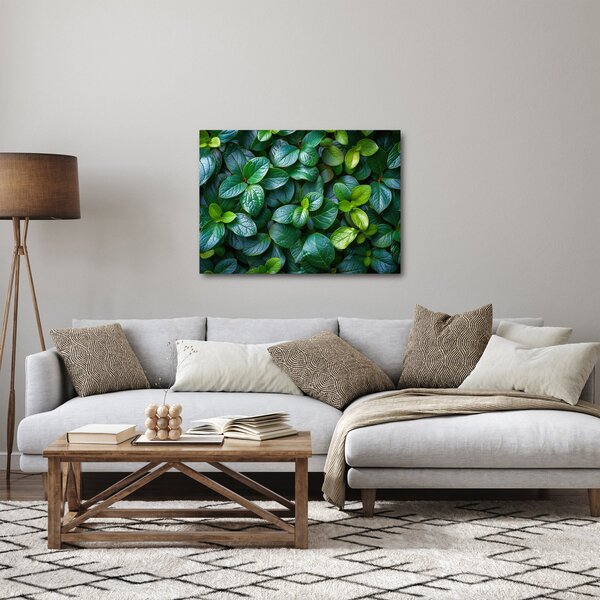 Kép - Zöld növények (70x50 cm)