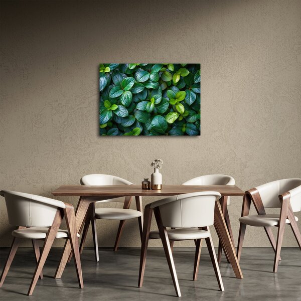 Kép - Zöld növények (70x50 cm)