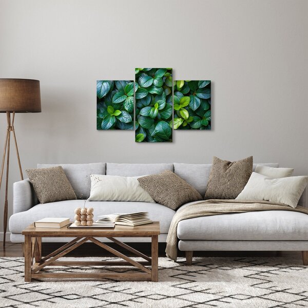 Kép - Zöld növények (90x60 cm)