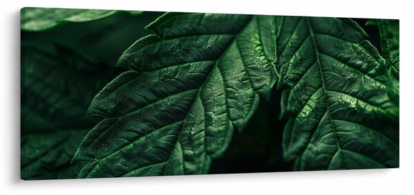 Kép - A lap részletei (120x50 cm)