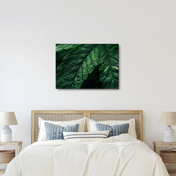 Kép - A lap részletei (70x50 cm)