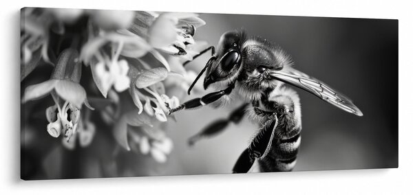 Kép - A méh részlete (120x50 cm)