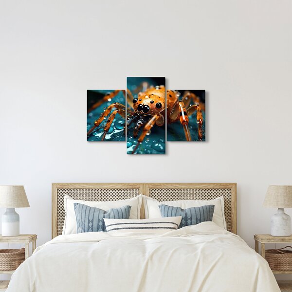 Kép - A pók részlete (90x60 cm)