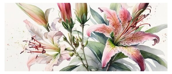 Kép - Liliomok, illusztrációk (120x50 cm)