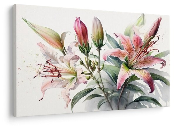 Kép - Liliomok, illusztrációk (90x60 cm)