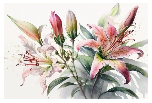 Kép - Liliomok, illusztrációk (90x60 cm)