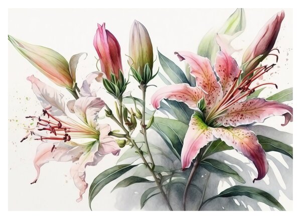 Kép - Liliomok, illusztrációk (70x50 cm)