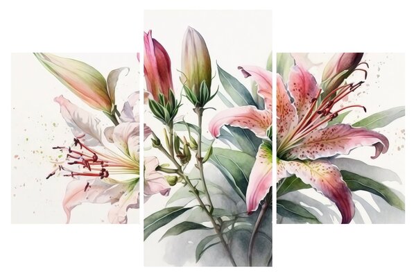Kép - Liliomok, illusztrációk (90x60 cm)