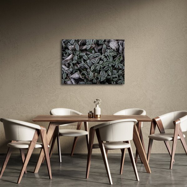 Kép - Fagyasztott növények (70x50 cm)