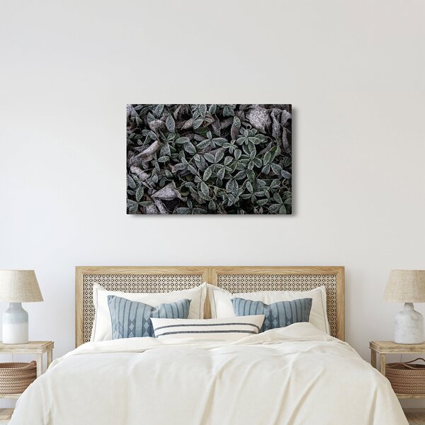 Kép - Fagyasztott növények (90x60 cm)