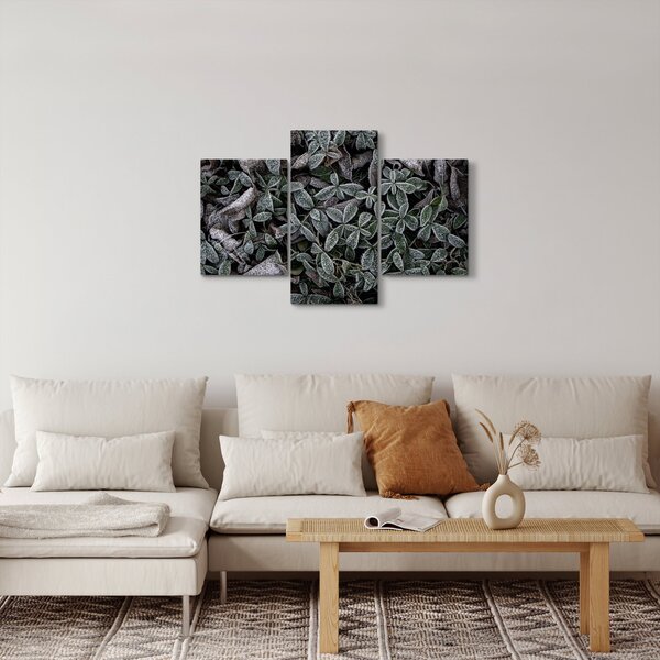 Kép - Fagyasztott növények (90x60 cm)
