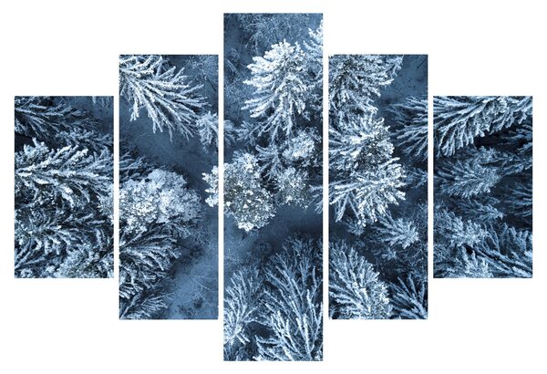 Kép - Havas erdő (150x105 cm)