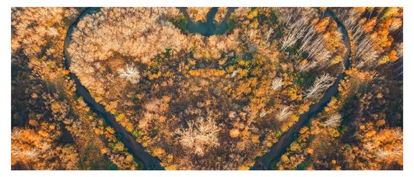 Kép - Szív alakú folyó (120x50 cm)