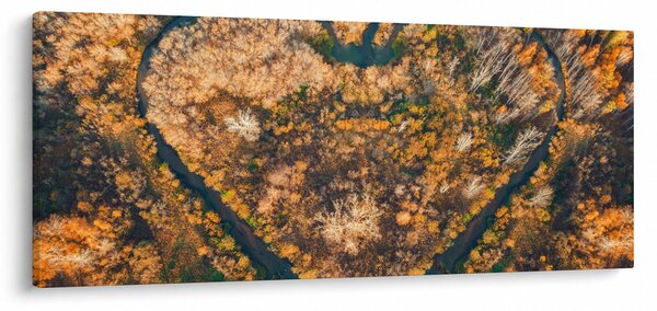 Kép - Szív alakú folyó (120x50 cm)