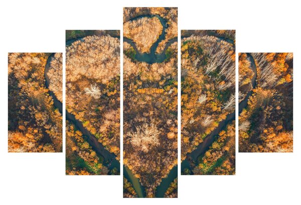 Kép - Szív alakú folyó (150x105 cm)