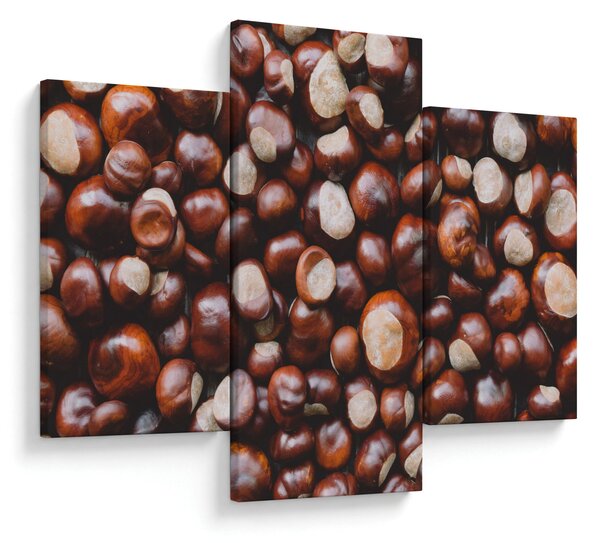 Kép - Érett gesztenye (90x60 cm)
