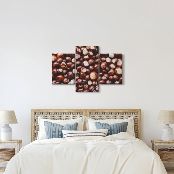 Kép - Érett gesztenye (90x60 cm)