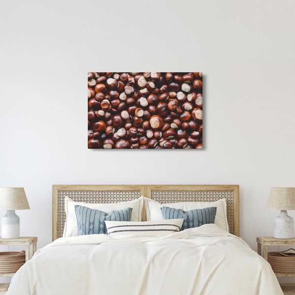 Kép - Érett gesztenye (90x60 cm)