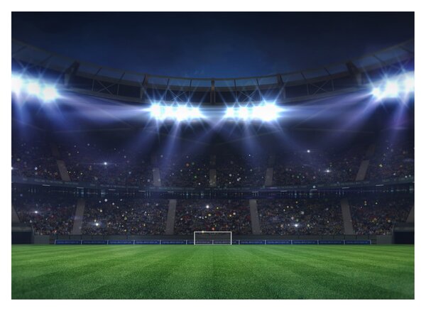 Kép - Labdarúgó stadion (70x50 cm)
