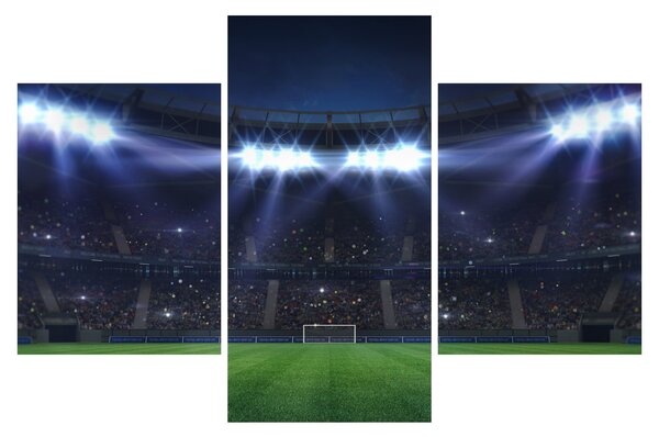 Kép - Labdarúgó stadion (90x60 cm)