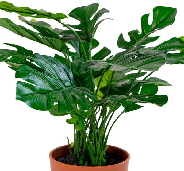 Monstera műnövény