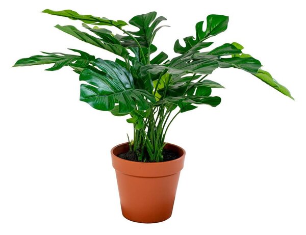 Monstera műnövény