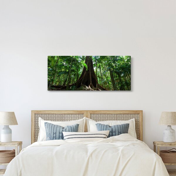 Kép - A fa gyökerei (120x50 cm)