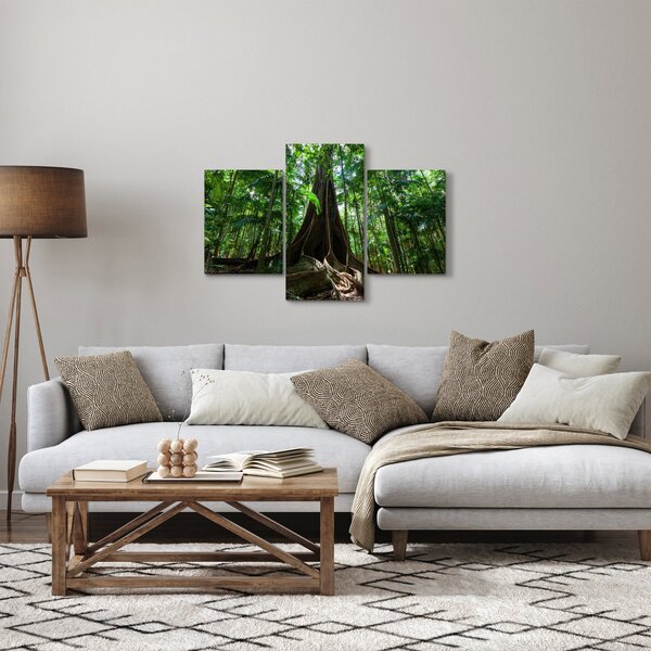 Kép - A fa gyökerei (90x60 cm)