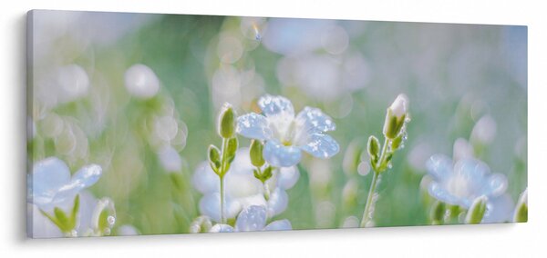 Kép - Finom virágok (120x50 cm)