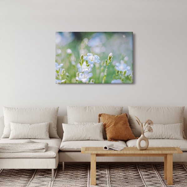 Kép - Finom virágok (90x60 cm)