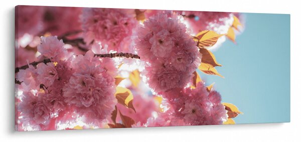 Kép - Cseresznyevirág (120x50 cm)