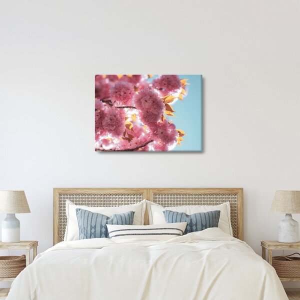 Kép - Cseresznyevirág (70x50 cm)