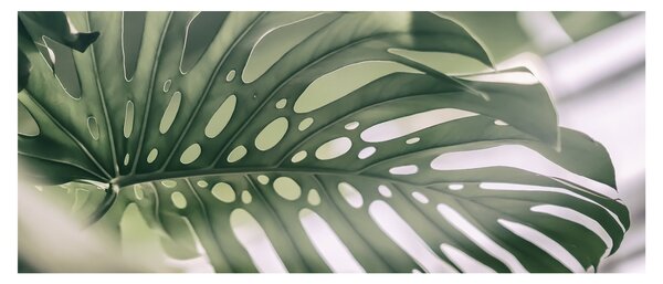 Kép - Szörnyek listája (120x50 cm)