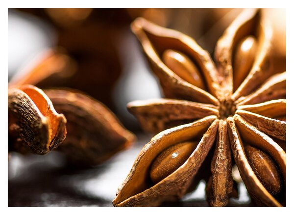 Kép - Anise (70x50 cm)