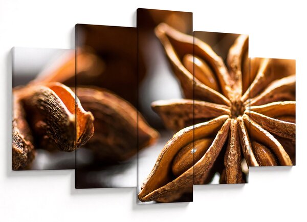 Kép - Anise (150x105 cm)