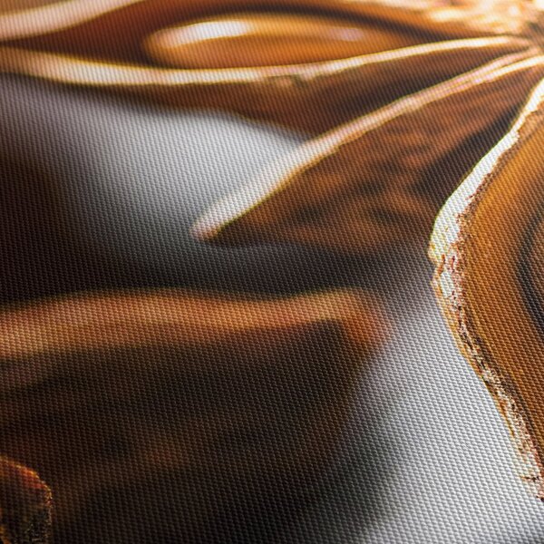 Kép - Anise (90x60 cm)