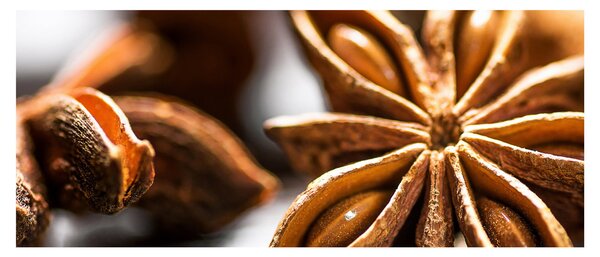 Kép - Anise (120x50 cm)