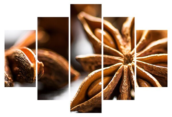 Kép - Anise (150x105 cm)