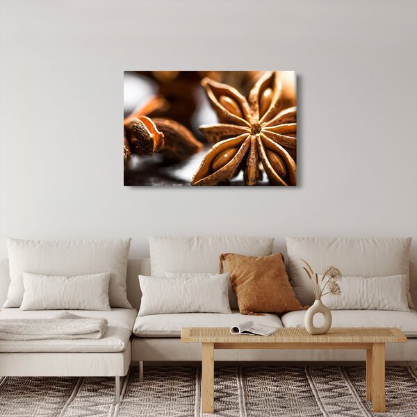 Kép - Anise (90x60 cm)