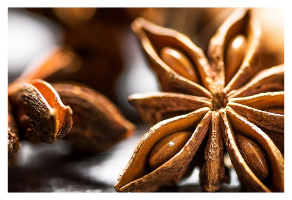 Kép - Anise (90x60 cm)