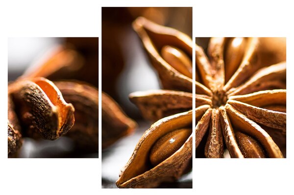 Kép - Anise (90x60 cm)