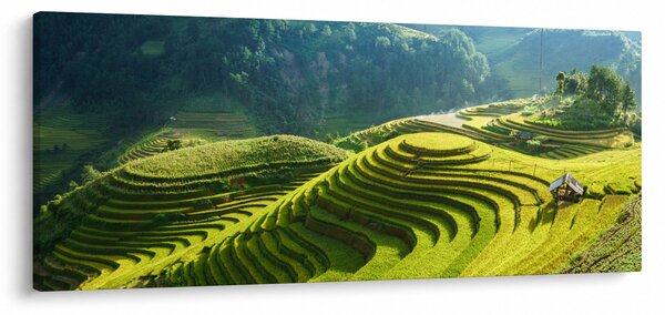 Kép - Rice Terraces koncert (120x50 cm)